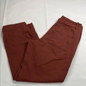 Brown Chinos‎ with Cotton Blend Fabric